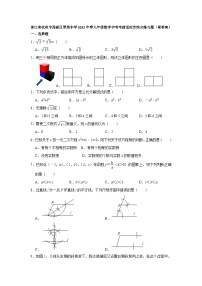 2022年浙江省杭州市西湖区翠苑中学九年级数学中考考前适应性综合练习题