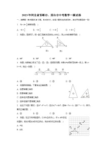 2023年河北省邯郸市、邢台市中考数学一模试卷（含解析）