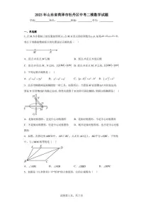 2023年山东省菏泽市牡丹区中考二模数学试题