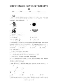 安徽省宿州市萧县2021-2022学年七年级下学期期末数学试题