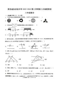 安徽省宿州市萧县城东初级中学2022-2023学年八年级下学期5月月考数学试题