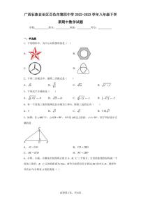 广西壮族自治区百色市第四中学2022-2023学年八年级下学期期中数学试题