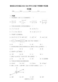 湖南省永州市道县2022-2023学年七年级下学期期中考试数学试题