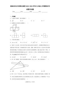 湖南省长沙市雅礼集团2022-2023学年九年级上学期期末考试数学试题