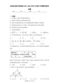 河南省信阳市商城县2021-2022学年七年级下学期期末数学试题