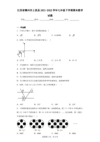江西省赣州市上犹县2021-2022学年七年级下学期期末数学试题