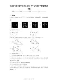 江西省吉安市泰和县2021-2022学年七年级下学期期末数学试题