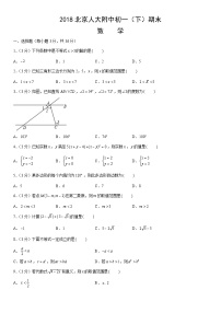 2018北京人大附中初一（下）期末数学（教师版）