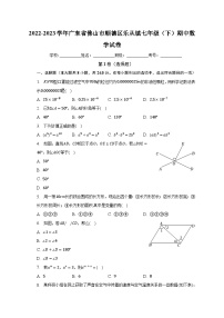 2022-2023学年广东省佛山市顺德区乐从镇七年级（下）期中数学试卷（含解析）