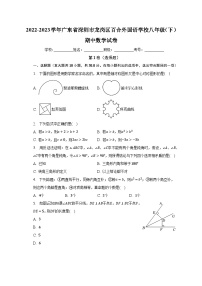 2022-2023学年广东省深圳市龙岗区百合外国语学校八年级（下）期中数学试卷（含解析）