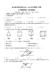 2023年江苏省连云港外国语学校中考二模数学试题(含答案)