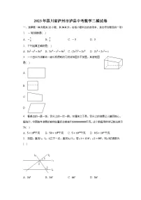 2023年四川省泸州市泸县中考数学二模试卷(含答案)