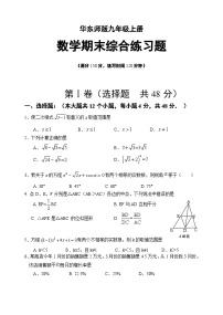 华东师大版九年级上册数学期末综合练习题