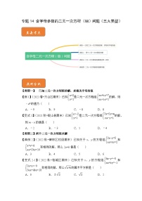 【期末满分攻略】2022-2023学年人教版七年级数学下册讲学案-专题14 含字母参数的二元一次方程（组）问题（三大类型）（原卷版+解析版）