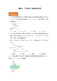 【期末满分攻略】2022-2023学年浙教版七年级数学下册讲学案-专题05 平行线中三角板综合应用