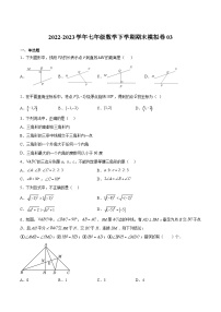 期末模拟卷03-2022-2023学年七年级数学下册期中期末挑战满分冲刺卷（沪教版，上海专用）