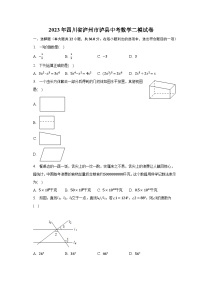 2023年四川省泸州市泸县中考数学二模试卷-普通用卷