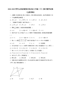 2022-2023学年山东省淄博市张店区八年级（下）期中数学试卷（五四学制）-普通用卷