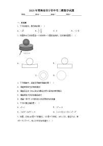 2023年青海省西宁市中考二模数学试题（含解析）