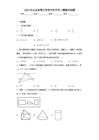 2023年山东省枣庄市市中区中考三模数学试题（含解析）