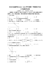 广东省茂名市直属学校2022-2023学年八年级上学期期末数学试题(无答案)