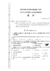 深圳市南山实验教育集团园丁学校九下模拟考试数学试卷