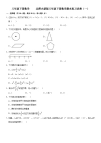 北师大版数学八年级下册精品期末复习试卷（含详细解析）