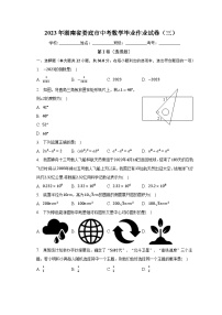 2023年湖南省娄底市中考数学毕业作业试卷（三）（含解析）