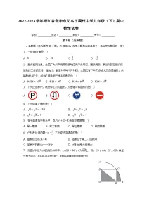 2022-2023学年浙江省金华市义乌市稠州中学九年级(下)期中数学试卷(含解析)
