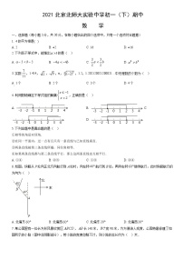 2021北京北师大实验中学初一（下）期中数学（教师版）