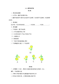 数学八年级下册1 图形的平移学案