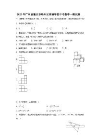 2023年广东省肇庆市端州区颂德学校中考数学一模试卷（含解析）