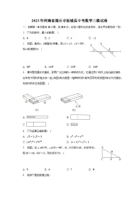 2023年河南省商丘市柘城县中考数学三模试卷（含解析）