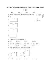 2022-2023学年四川省成都市锦江区九年级（上）期末数学试卷（一诊）（含解析）