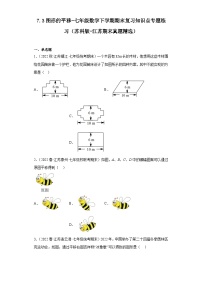 7.3图形的平移-七年级数学下学期期末复习知识点专题练习（苏科版-江苏期末真题精选）