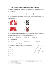 2023年浙江省嘉兴市嘉善县中考数学一模试卷（含解析）