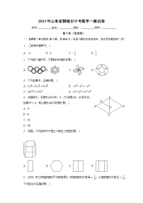 2023年山东省聊城市中考数学一模试卷（含解析）