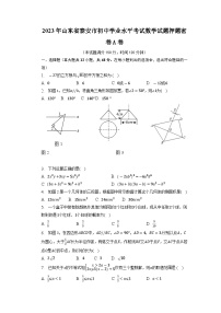 2023年山东省泰安市初中学业水平考试数学试题押题密卷