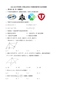 2022-2023学年度第二学期山东枣庄八年级期末数学复习定时观测卷及原题