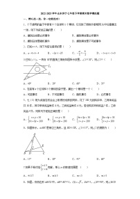 2022-2023学年山东济宁七年级下学期期末数学模拟题原题卷