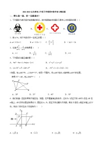 2022-2023山东青岛八年级下学期期末数学复习模拟题