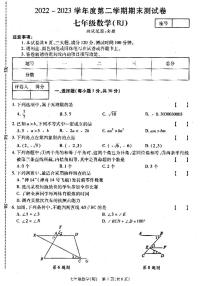 河南省濮阳市清丰县仙庄镇初级中学2022-2023学年七年级下学期6月期末数学试题