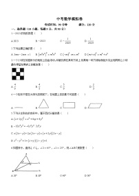 2023年广东省佛山市南海外国语学校中考三模数学试题(含答案)