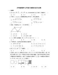 2022--2023学年沪科版数学七年级下册期末复习试卷