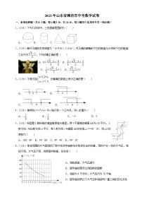 2022年山东省潍坊市中考数学试卷（解析版）