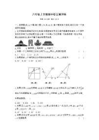 期中综合测评卷  2023-2024学年人教版八年级数学上册