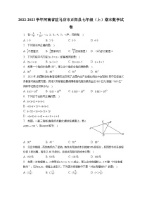 2022-2023学年河南省驻马店市正阳县七年级（上）期末数学试卷（含解析）