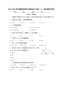 2022-2023学年湖南省邵阳市隆回县八年级(上)期末数学试卷(含解析)