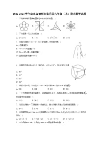 2022-2023学年山东省德州市临邑县九年级（上）期末数学试卷（含解析）