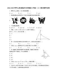 2022-2023学年山东省临沂市沂南县八年级（上）期末数学试卷（含解析）